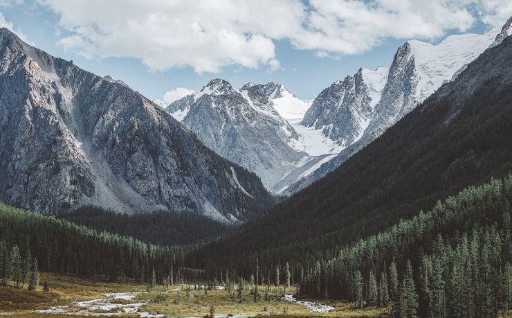 爱尔兰移民咨询中介